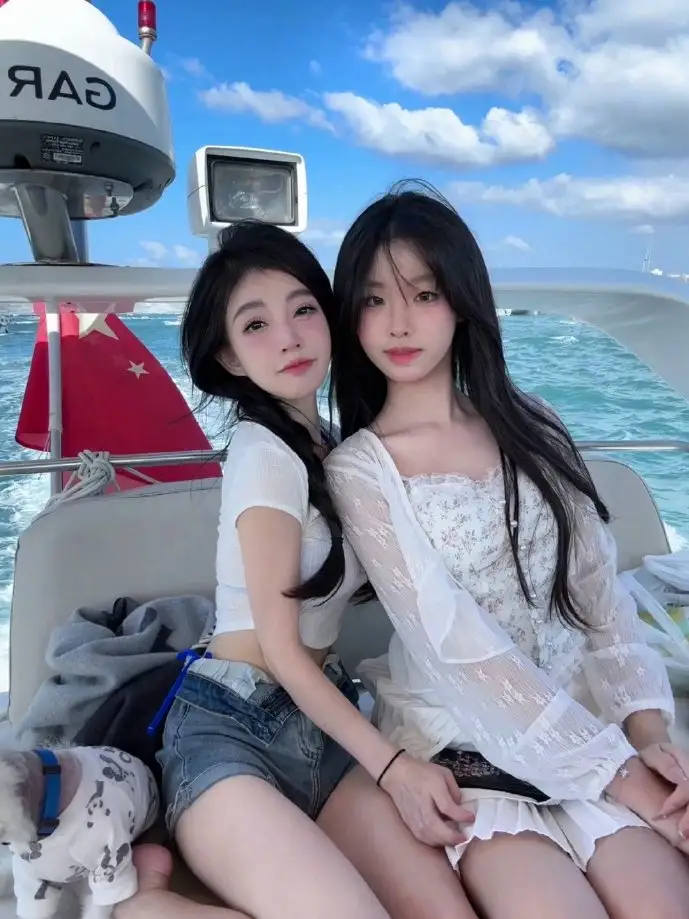 高级设置下载界面示意图