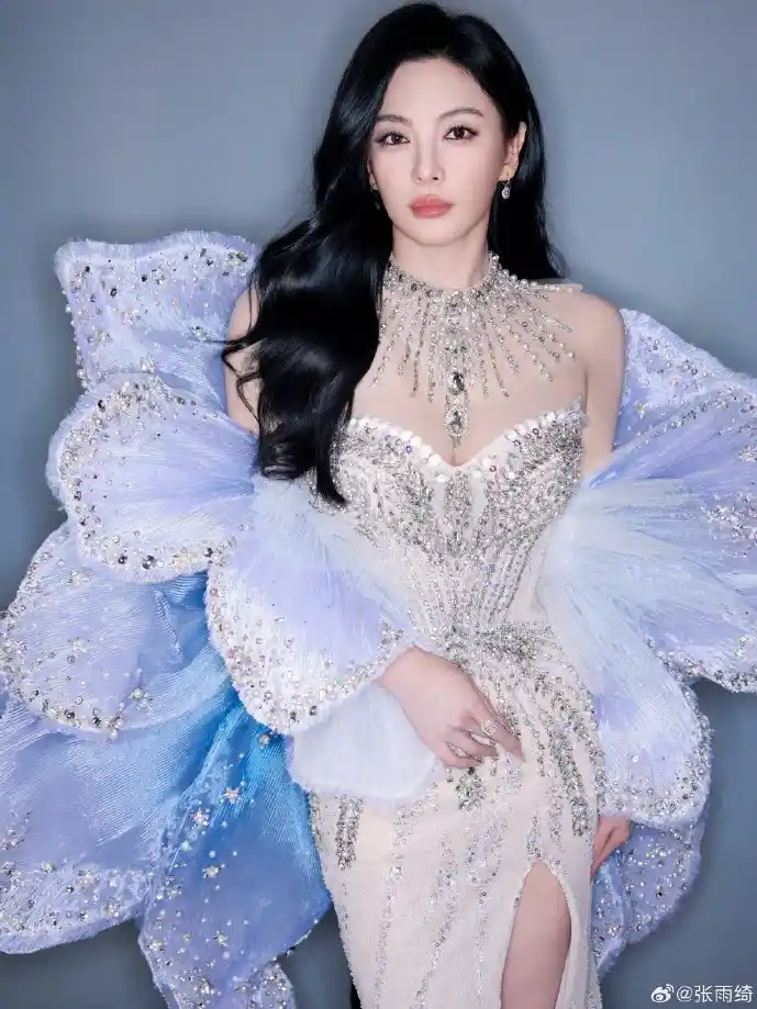 爱奇艺下载界面示意图