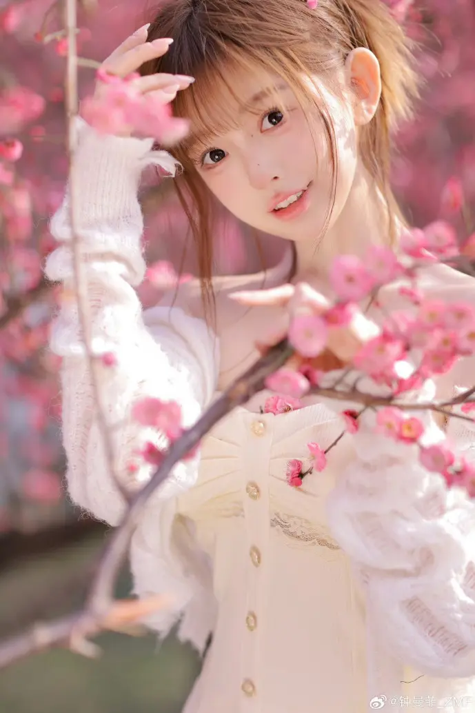 软件效率对比图